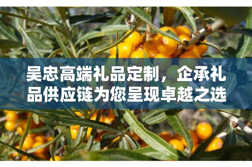 吴忠高端礼品定制，企承礼品供应链为您呈现卓越之选