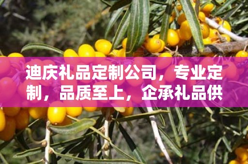 迪庆礼品定制公司，专业定制，品质至上，企承礼品供应链卓越服务