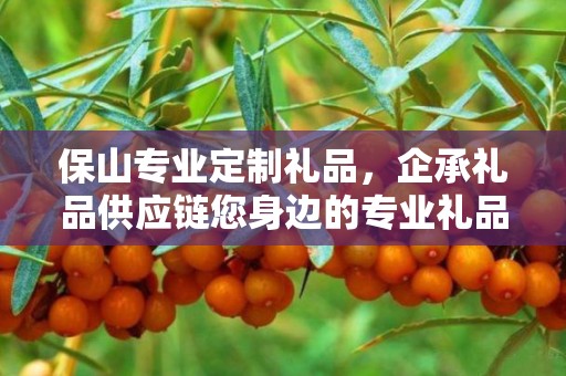 保山专业定制礼品，企承礼品供应链您身边的专业礼品定制公司