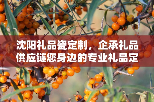 沈阳礼品瓷定制，企承礼品供应链您身边的专业礼品定制公司